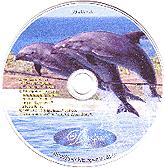 Купить Дельфис (CD с текстами) в интернет-магазине AgniBooks.ru